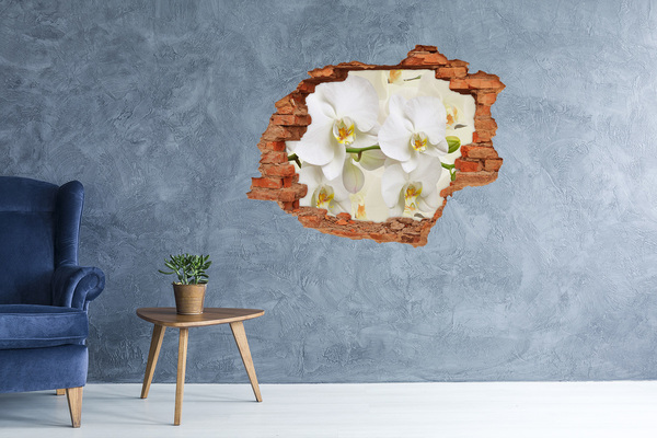 Samolepící nálepka fototapeta Orchidej