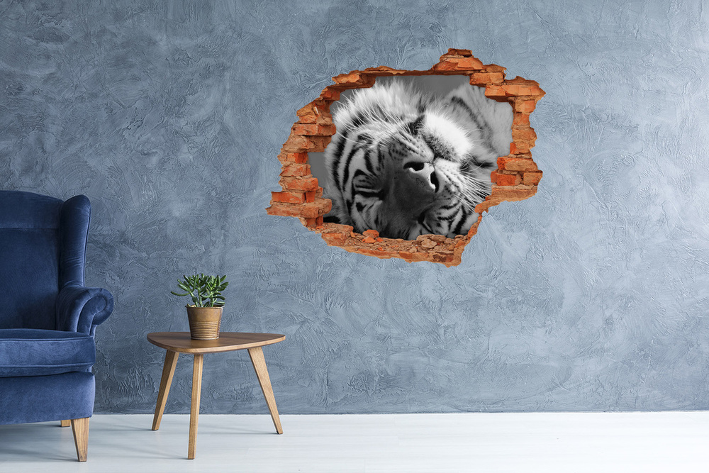 Díra 3D fototapeta nálepka Spící tygr