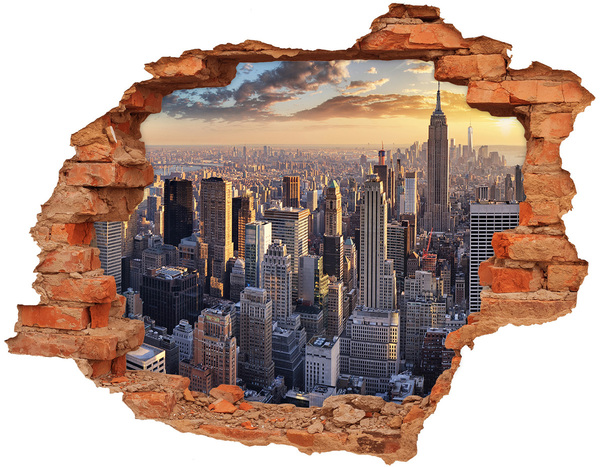 Fototapeta díra na zeď 3D Pohled na New York
