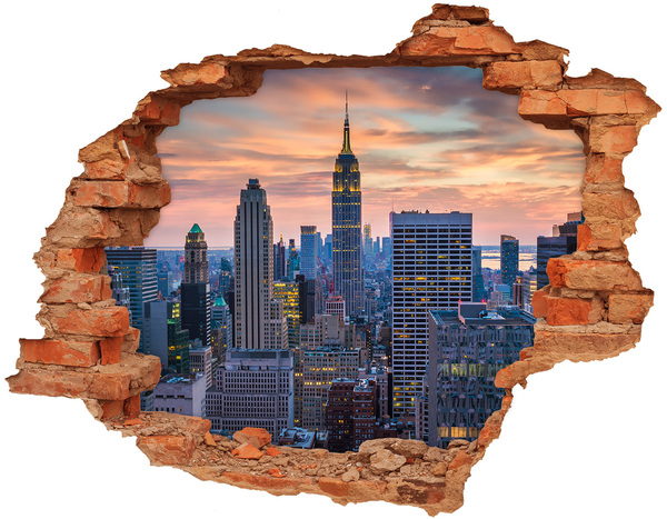 Fototapeta díra na zeď 3D Pohled na New York