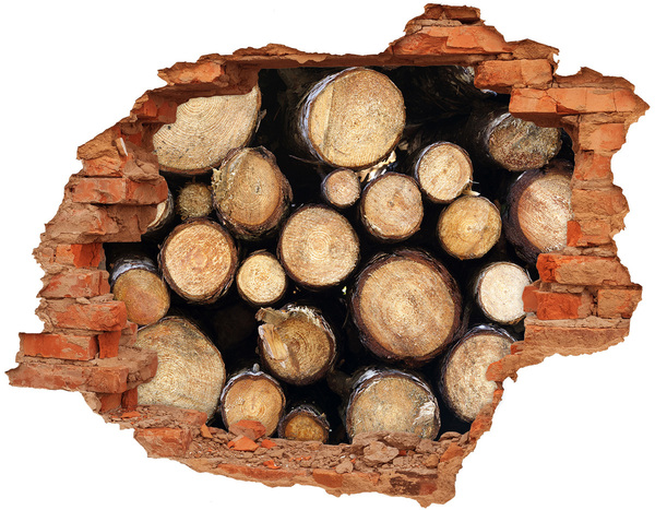 Samolepící nálepka na zeď Dřevo v díře ve zdi