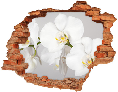 Samolepící nálepka na zeď Orchidej