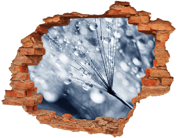 Samolepící nálepka Kapky rosy na pampelišce