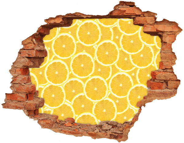 Samolepící nálepka Plátky citronu