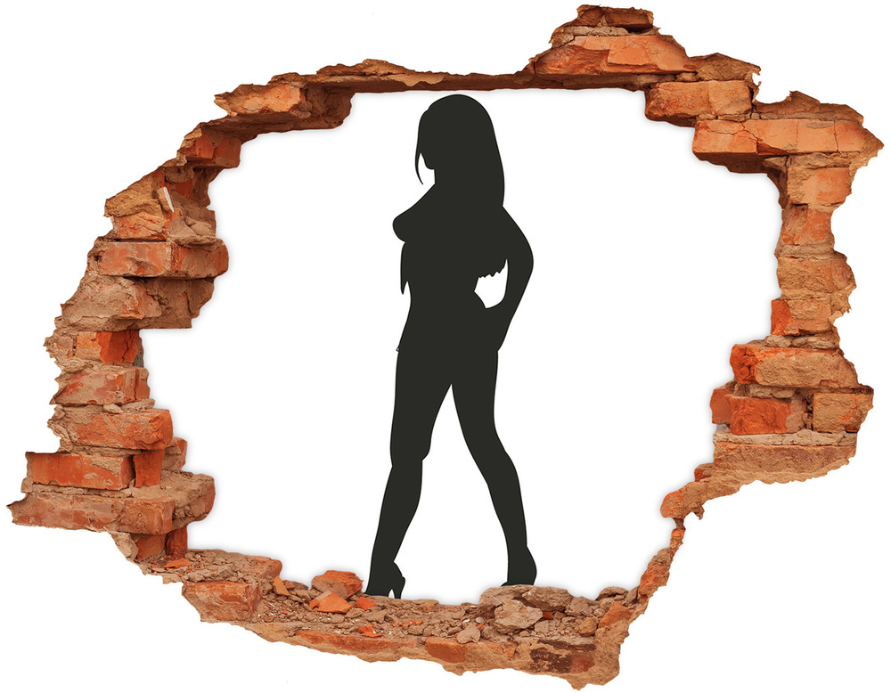 Fotoobraz díra na stěnu Silueta ženy