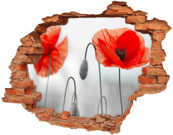 Samolepící nálepka na zeď fototapeta Květiny v díře ve zdi