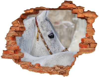 Díra 3D fototapeta nálepka Bílý arabský kůň