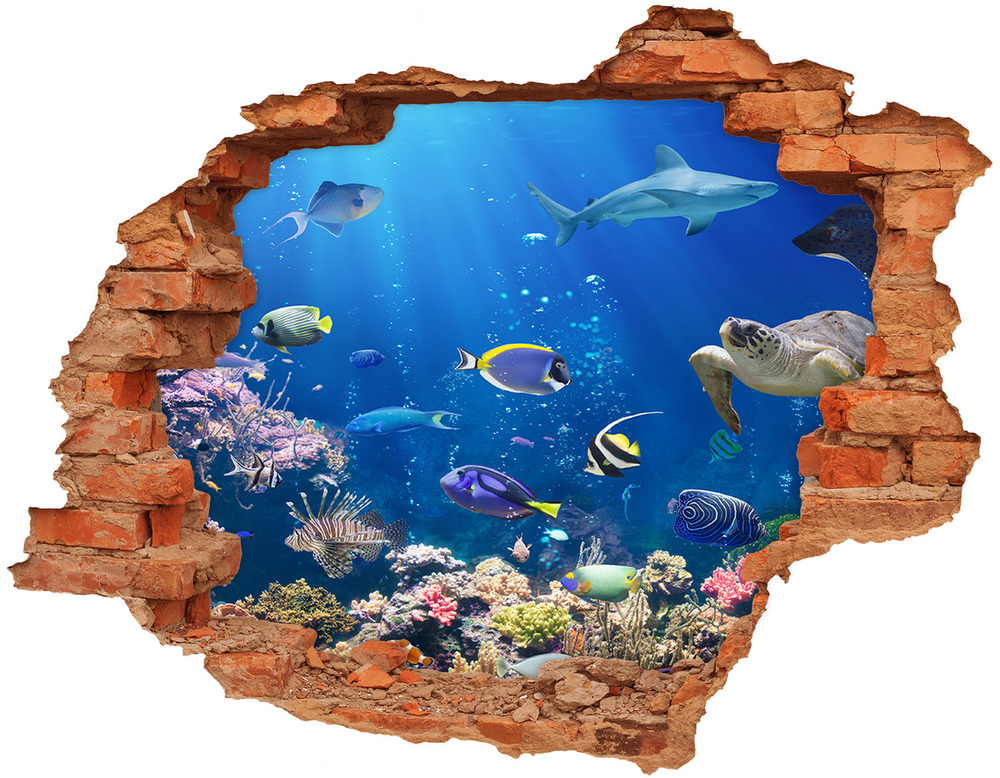 Díra 3D fototapeta nástěnná Korálový útes