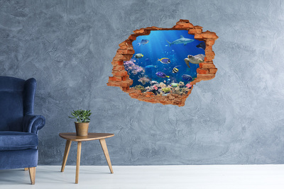 Díra 3D fototapeta nástěnná Korálový útes