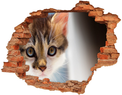 Díra 3D fototapeta nástěnná Nálepka malá kočka