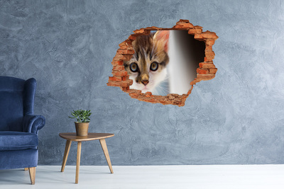 Díra 3D fototapeta nástěnná Nálepka malá kočka