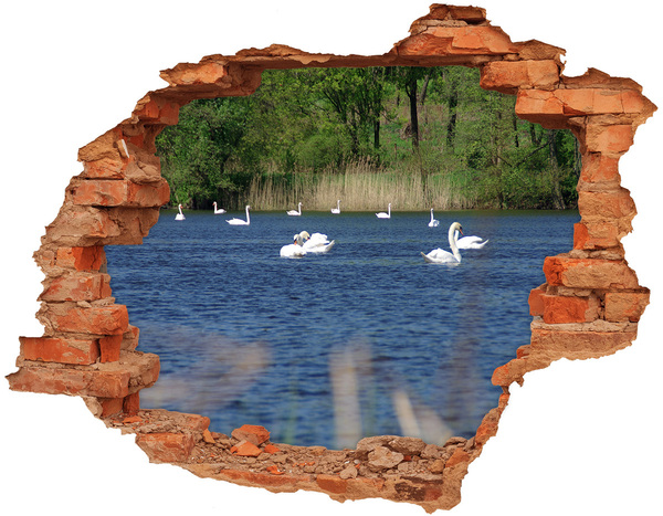Díra 3D fototapeta nálepka Jezero s labutěmi