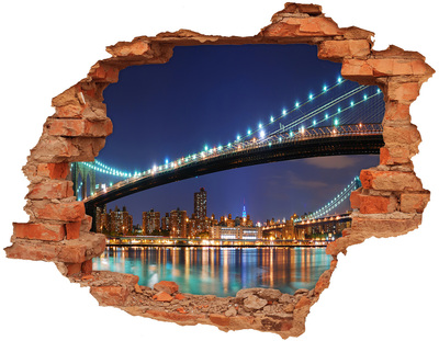 Fototapeta díra na zeď 3D Manhattan New York