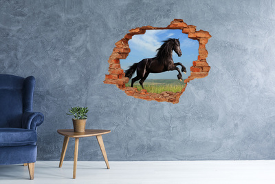 Díra 3D fototapeta na stěnu Černý kůň na louce