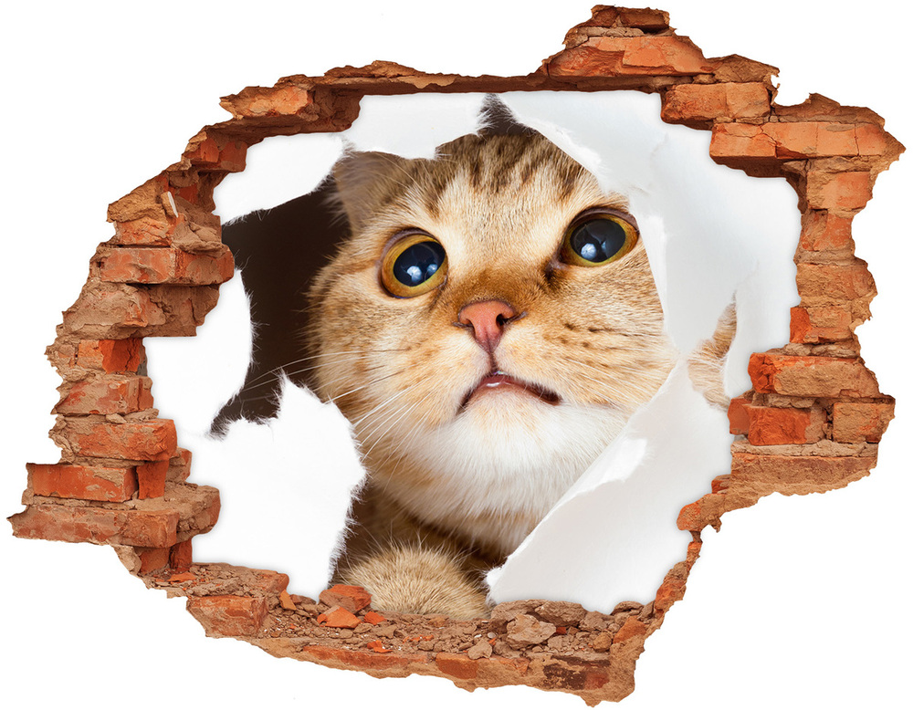 Díra 3D fototapeta na stěnu Kočka v díře