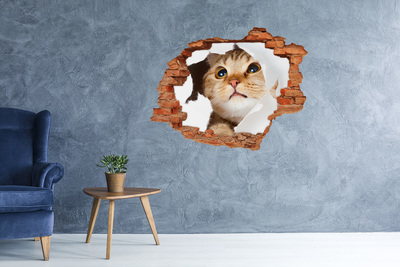 Díra 3D fototapeta na stěnu Kočka v díře