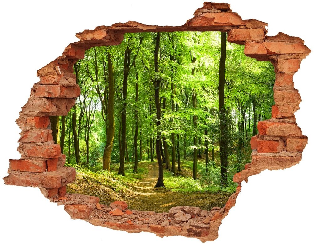 Díra 3D ve zdi nálepka Lesní stezka
