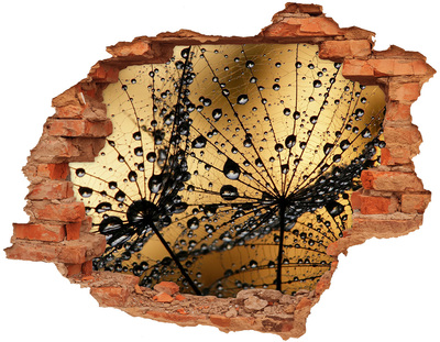 Samolepící nálepka na zeď Kapky na listech