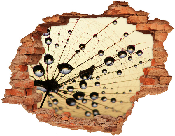 Samolepící nálepka Kapky vody na motýlím křídle