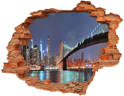 Fototapeta díra na zeď 3D Manhattan New York