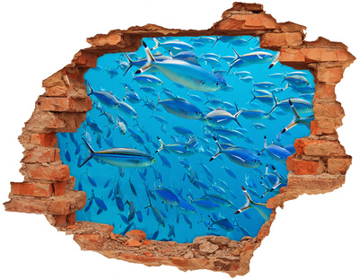 Díra 3D fototapeta nálepka Korálové ryby