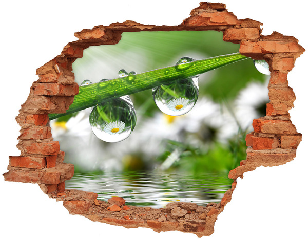 Samolepící díra nálepka Květinová oáza s kapkami vody