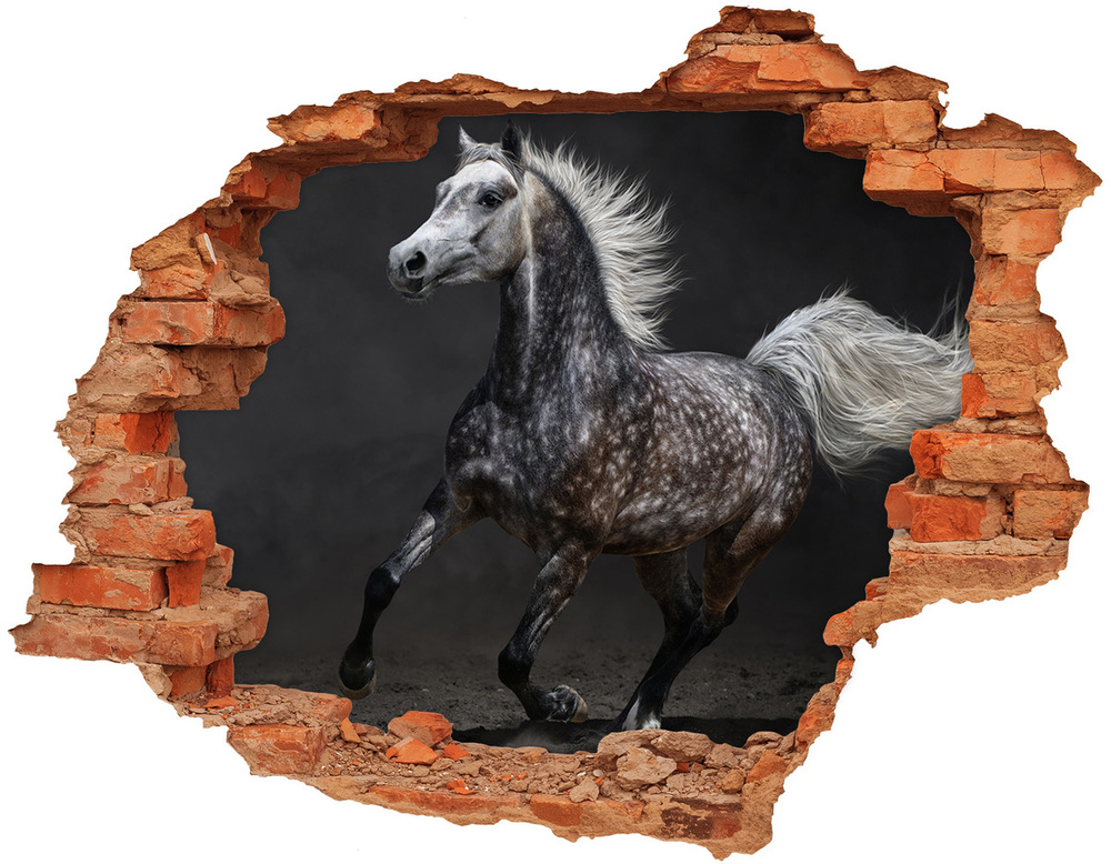 Díra 3D fototapeta na stěnu Šedý arabský kůň