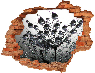 Samolepící díra nálepka Kapky vody na pampelišce