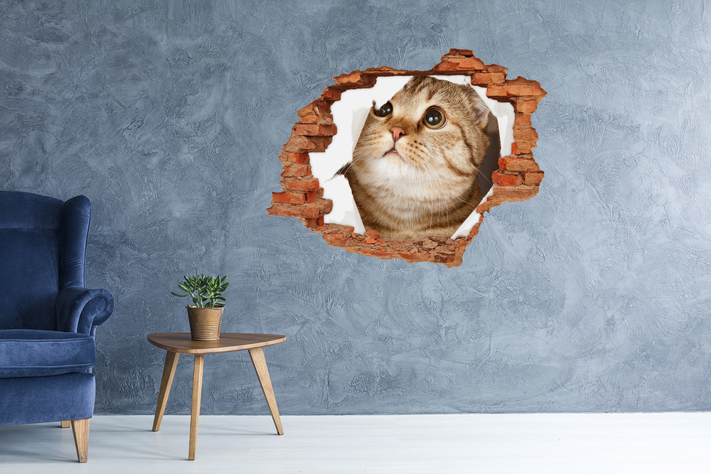 Díra 3D fototapeta na stěnu nálepka Kočka