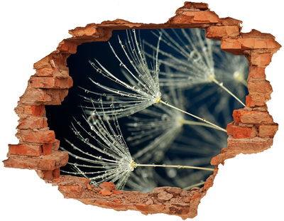 Samolepící díra nálepka Květy pampelišky ve vodě