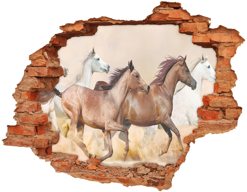 Díra 3D fototapeta nálepka Koně ve cvalu