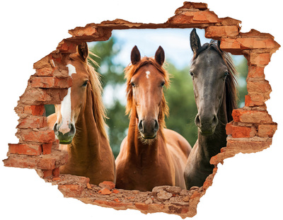 Díra 3D fototapeta na stěnu Tři koně