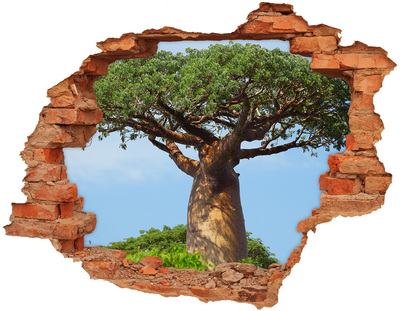 Samolepící díra na stěnu nálepka Baobab