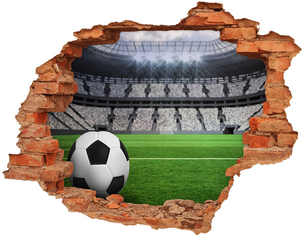 Fototapeta díra na zeď 3D Míč na stadioně