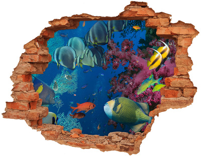 Díra 3D fototapeta na stěnu Korálový útes