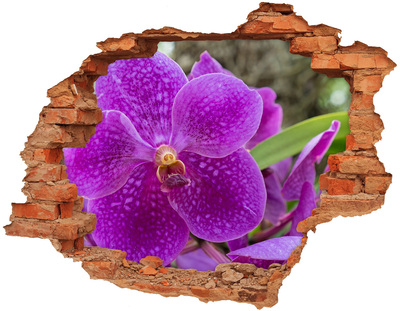 Samolepící díra nálepka Orchidej