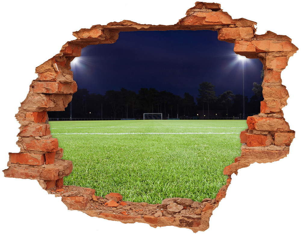 Fototapeta díra na zeď 3D Fotbalové hřiště