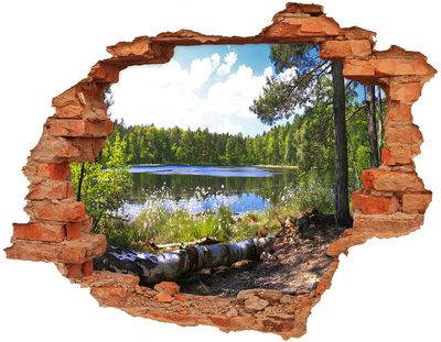 Nálepka fototapeta 3D na zeď Lesní panorama