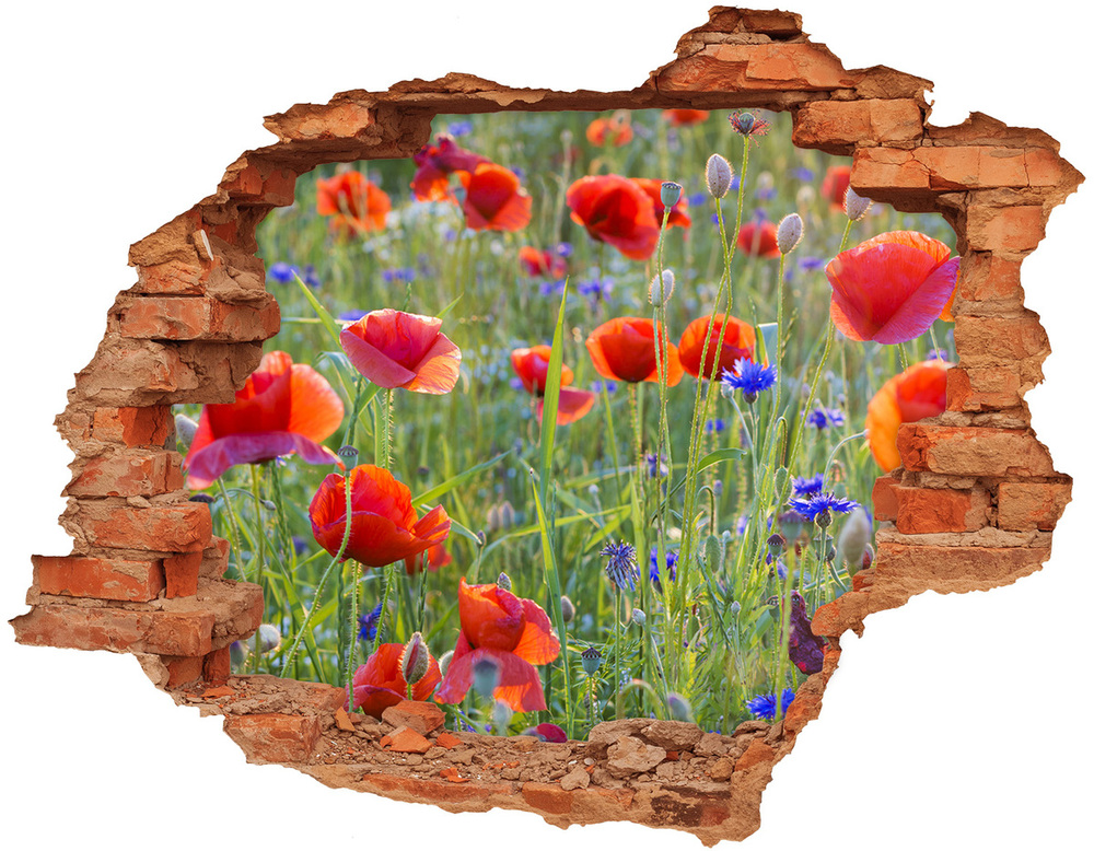 Samolepící díra na stěnu Polní květiny