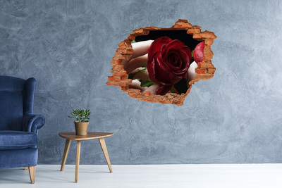Fotoobraz díra na stěnu Žena s růží