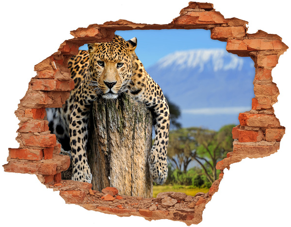 Díra 3D fototapeta na stěnu Lepkavý pohled leoparda