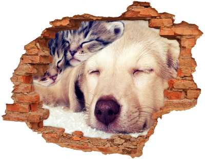 Díra 3D fototapeta na stěnu Štěně a kočky