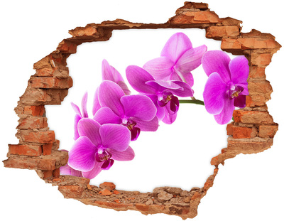 Samolepící díra nálepka Orchideje skrz díru ve zdi
