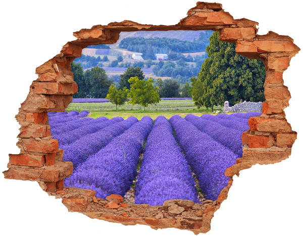 Nálepka fototapeta 3D výhled Levandulová pole v Provence