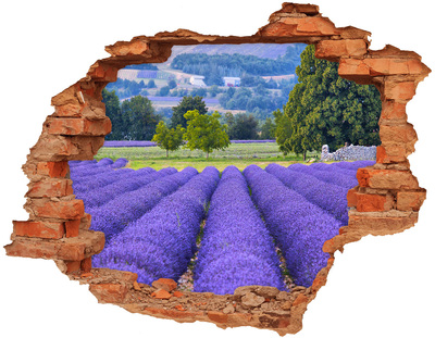 Nálepka fototapeta 3D výhled Levandulová pole v Provence