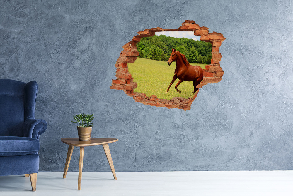 Díra 3D fototapeta na stěnu Kůň na louce