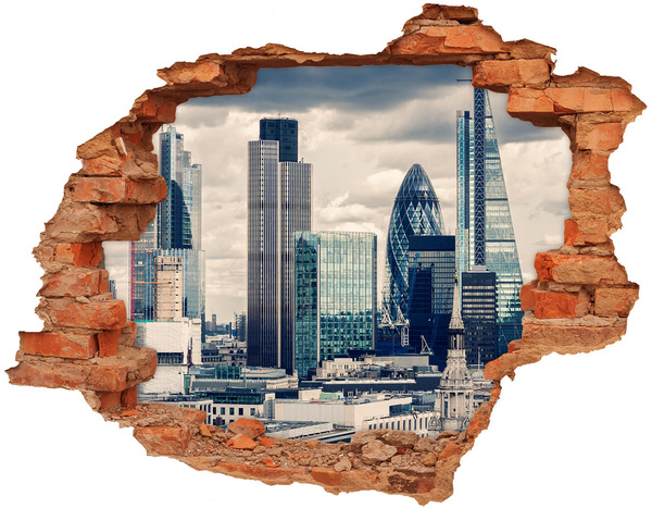 Fototapeta díra na zeď 3D Pohled na moderní město