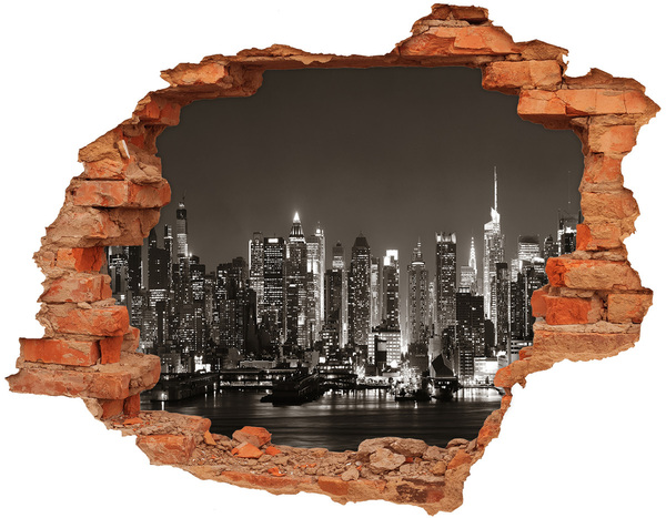 Fototapeta díra na zeď 3D Manhattan New York