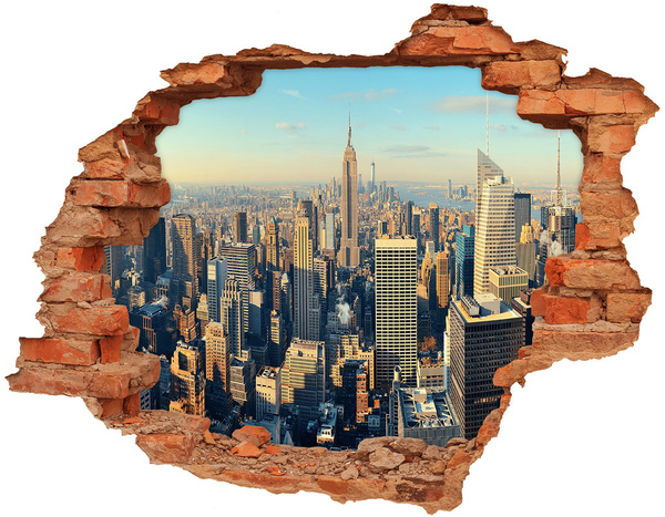 Fototapeta díra na zeď 3D Pohled na New York