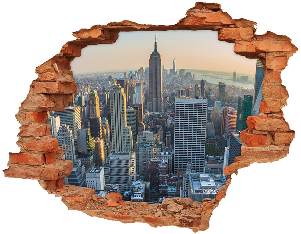 Fototapeta díra na zeď 3D Pohled na New York